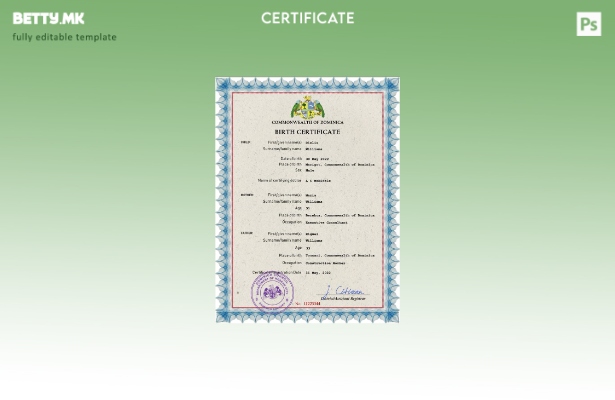 модерен стил Доминика витален рекорд извод од матична книга на родените ПСД ша